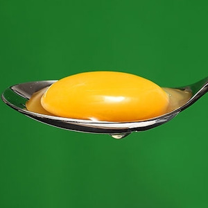 鸡蛋黄