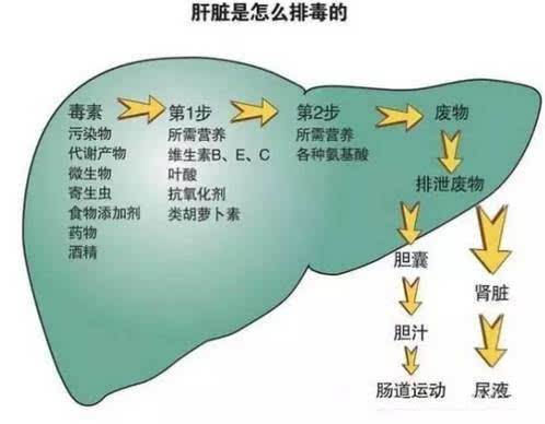 痛风患者服用非布司他，真的可以喝酒了么？