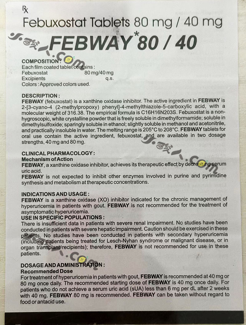 印度产 安必成 安比树 出品 非布司他 80mg*50粒 说明书 中文版（机翻）