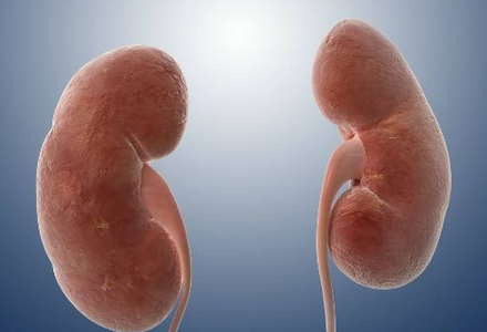 从关节痛到肾衰竭只需一步：一位69岁患者的真实经历敲响警钟